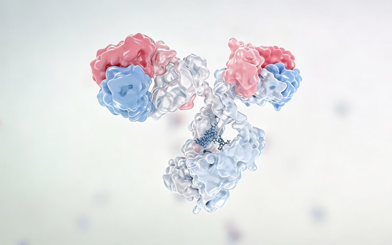 A Beacon in the Winter: Why Bispecific Antibodies Are Driving the Biggest Deals of 2025
